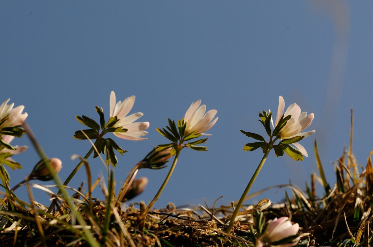 f0224648_818654.jpg