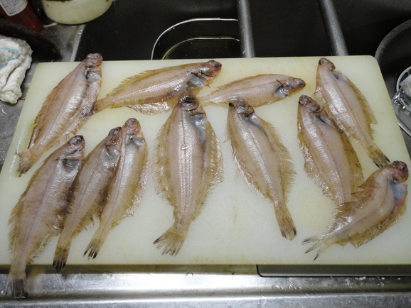 丸ごと骨せんべい_a0118461_8371711.jpg