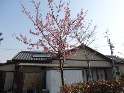 a0168865_1262480.jpg