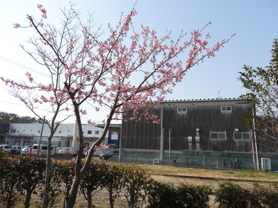a0168865_1264773.jpg