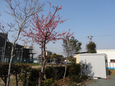 a0168865_127482.jpg