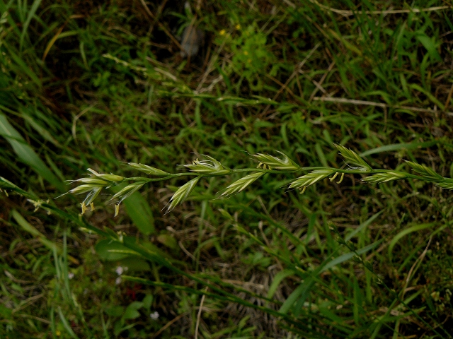 d0019074_9572266.jpg