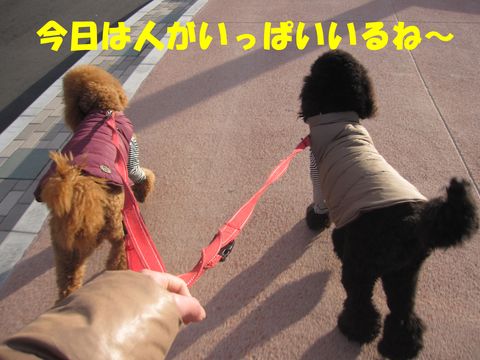 c0283778_16101249.jpg