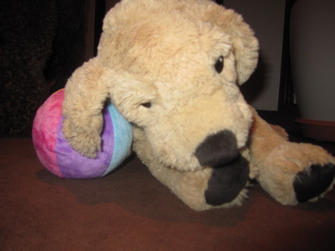c0283778_16101674.jpg