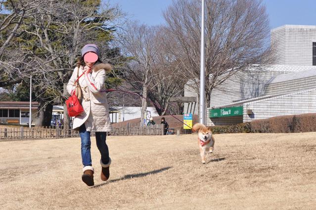 よーいドン!_a0126590_225034.jpg