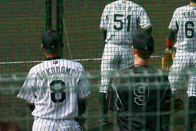 沖縄旅行記～本島プロ野球キャンプ・阪神編～_e0003090_21354226.jpg