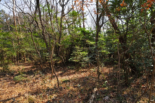 b0255992_21544550.jpg