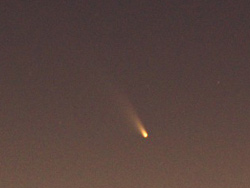 来週に近づいてきたパーンスターズ彗星_e0120896_8492242.jpg