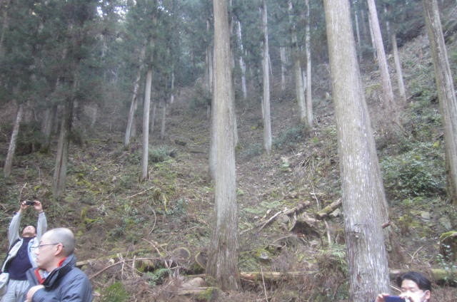 e0149405_2062685.jpg