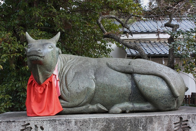 京の旅　北野天満宮の梅花祭　その5_d0154609_13153711.jpg