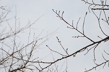 b0259218_258945.jpg