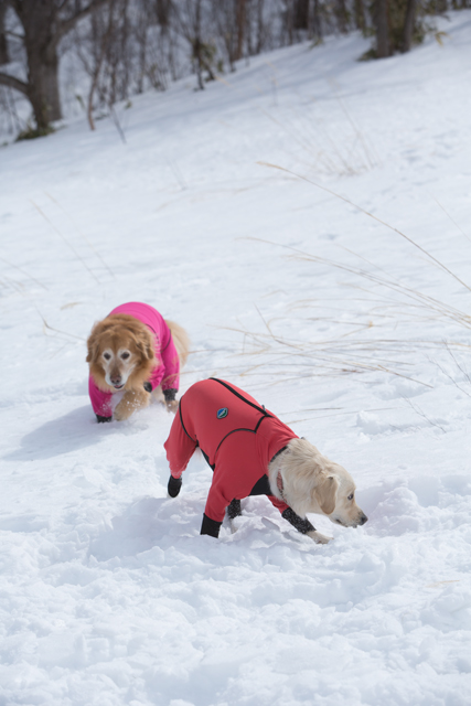 今シーズン最後の雪遊び　その２_e0192921_2219548.jpg