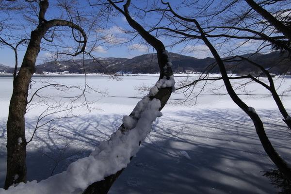 e0242721_74798.jpg