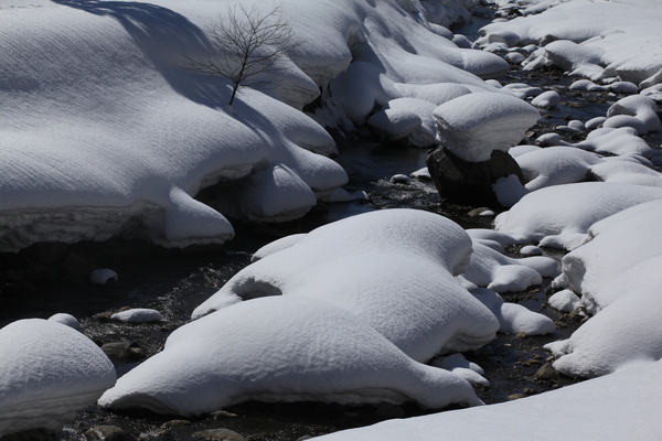 e0242721_7522746.jpg