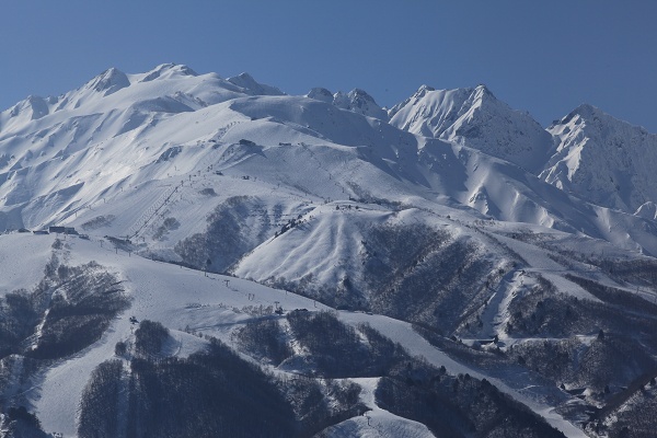 e0242721_753222.jpg