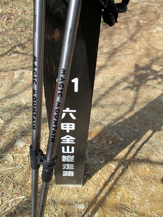 リハビリ・トレラン@Mt.Rokko_f0050226_9331777.jpg