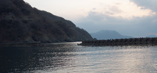 b0169939_13322760.jpg