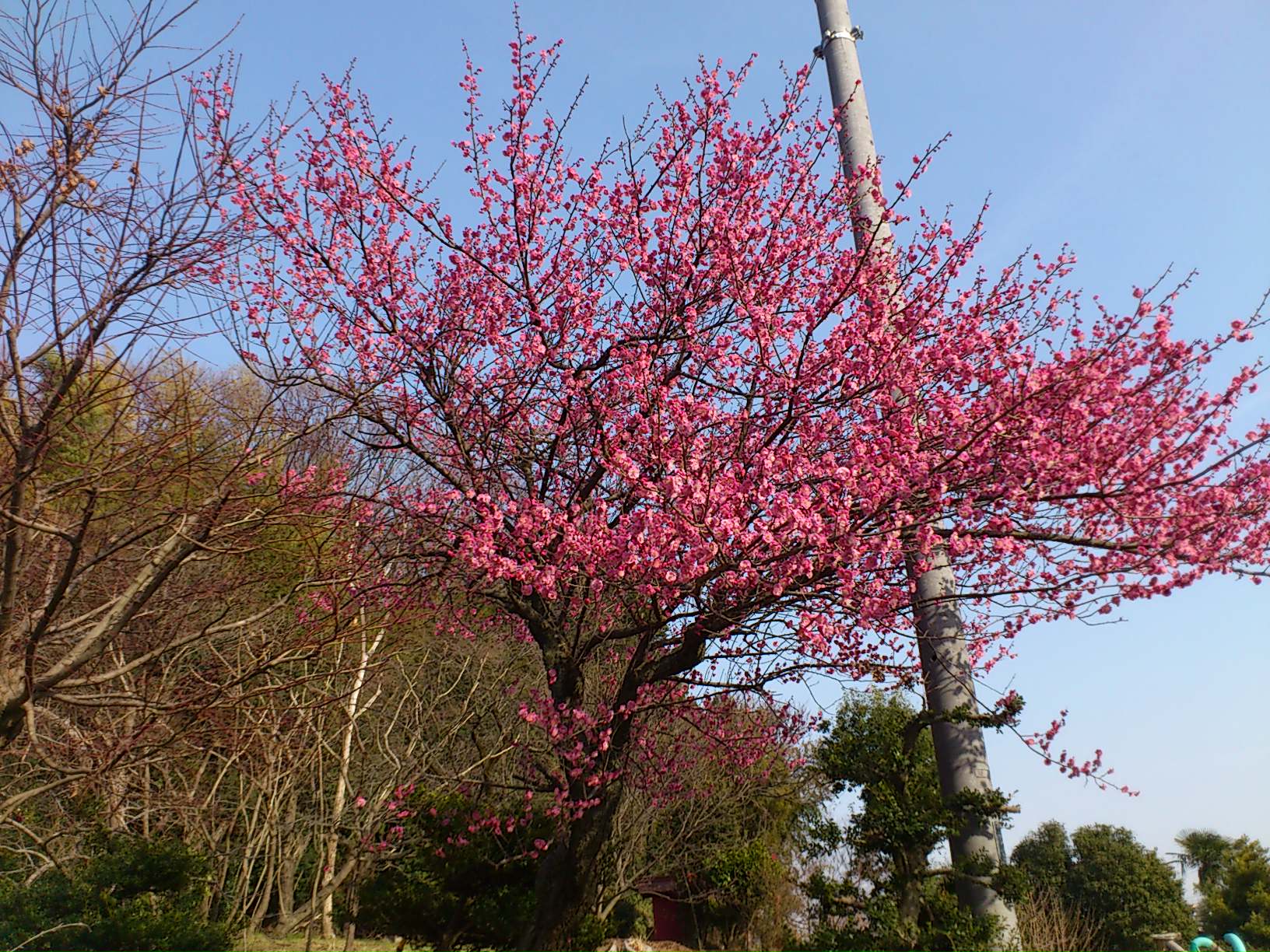 b0220439_1837963.jpg