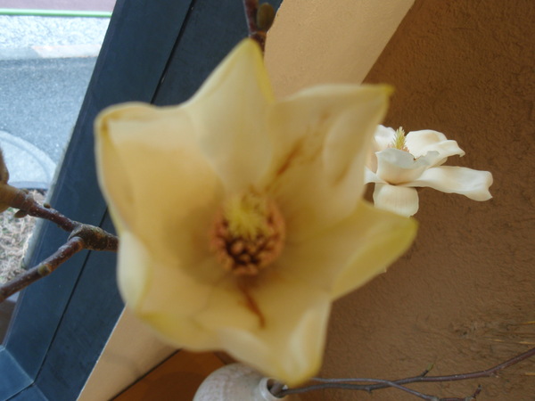山野邊孝陶展 _b0132442_200770.jpg