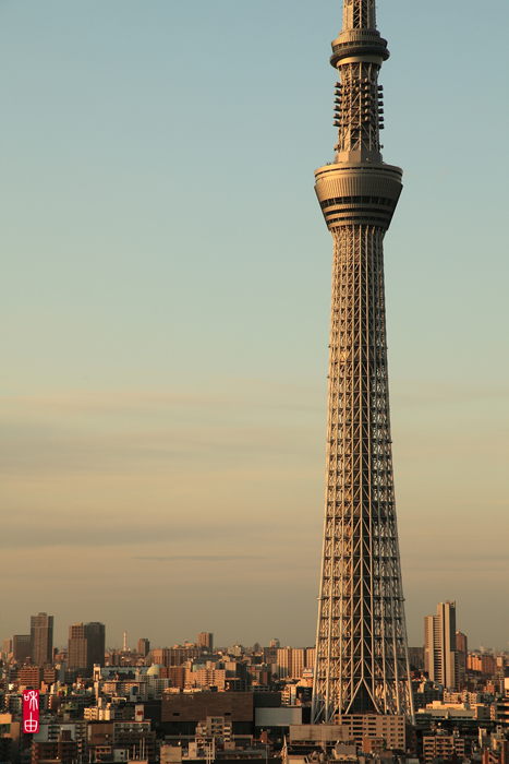 c0187744_19555098.jpg