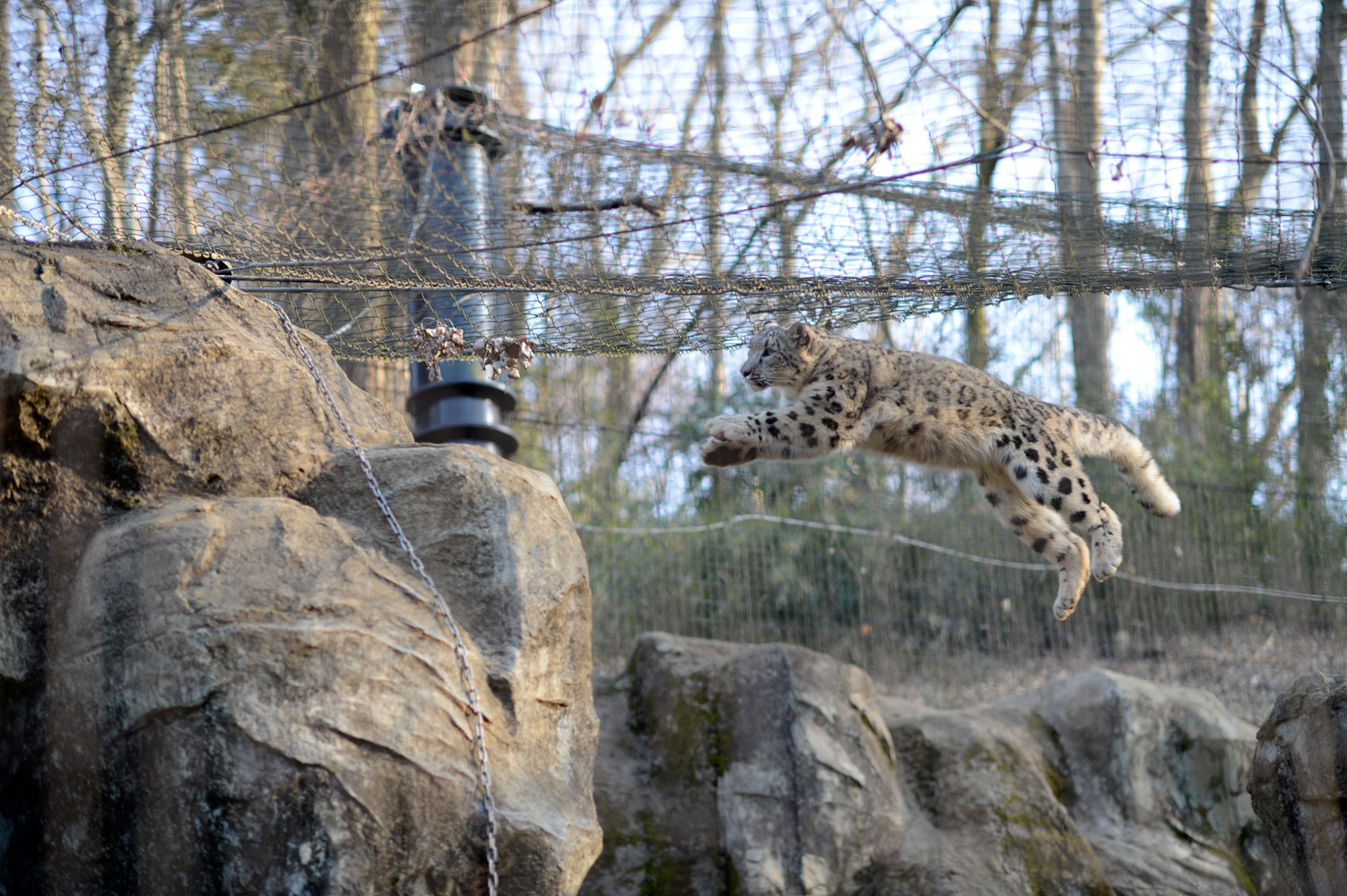 スカイ君いしかわ動物園へ_b0023856_76470.jpg