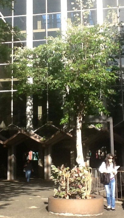 インターンシップ  Internship _f0143958_6415581.jpg