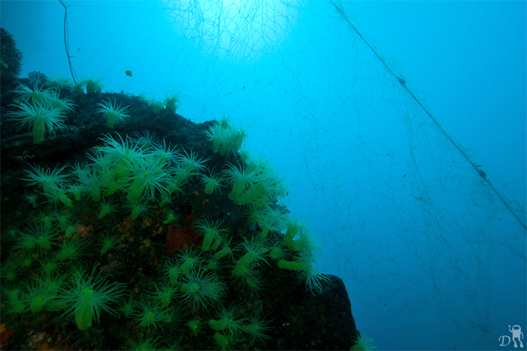 e0158261_5151454.jpg