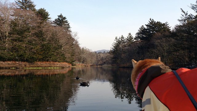 b0274270_110458.jpg