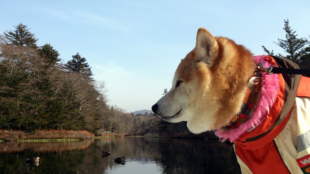 b0274270_1125243.jpg