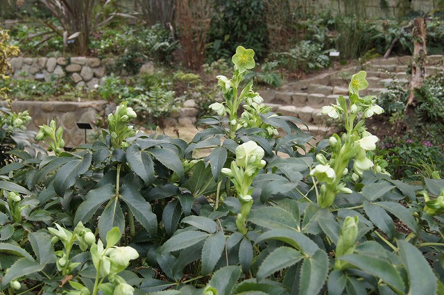 e0181373_2148716.jpg