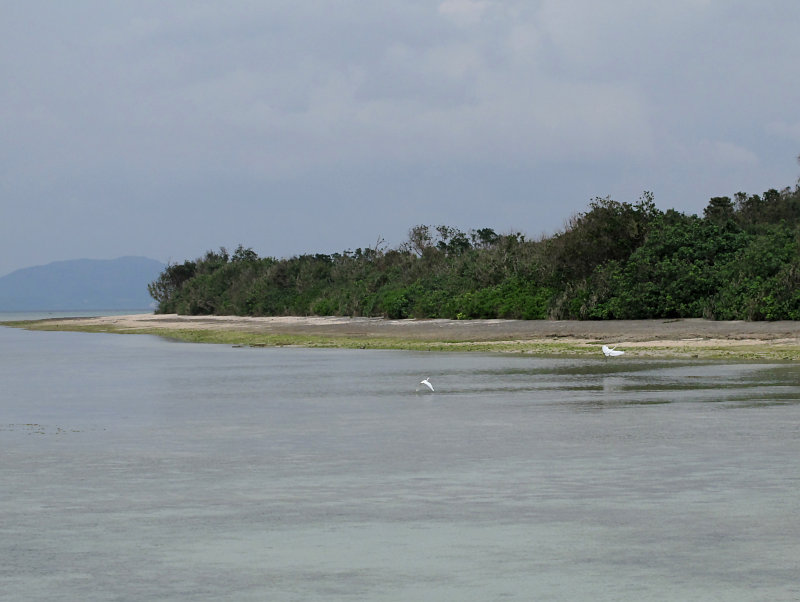 みーふぁいゆ　石垣島・竹富島　　西桟橋_b0122979_17423456.jpg