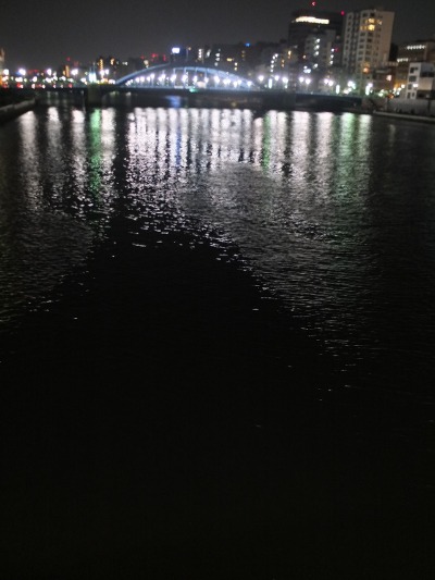 春ってことで_a0180681_1654136.jpg