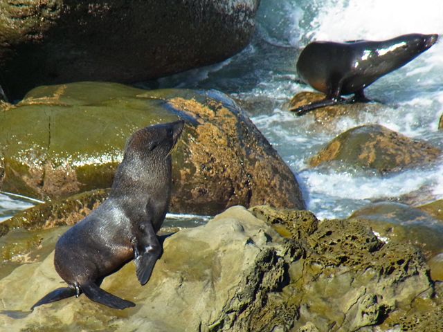 d0114485_1971677.jpg