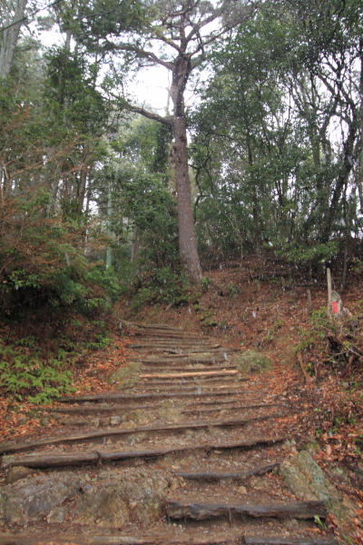 愛宕神社_e0051888_23362017.jpg