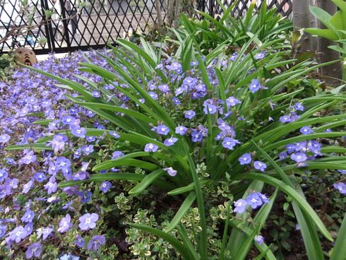 b0230589_0115079.jpg