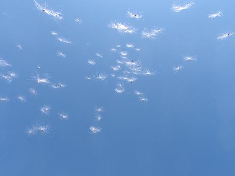 a0125598_20293668.jpg
