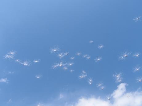 a0125598_20295551.jpg