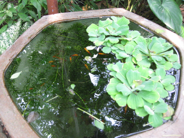 a0224502_13461478.jpg