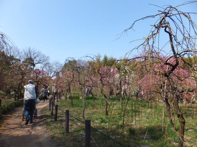 a0271502_1621367.jpg