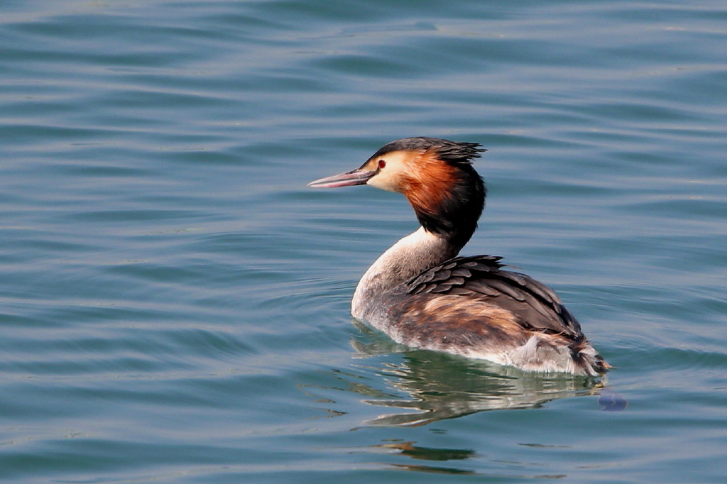 b0179023_2013462.jpg