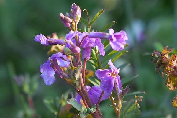 f0214527_103615.jpg
