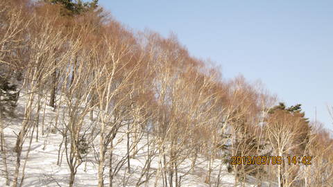 e0230329_20275139.jpg