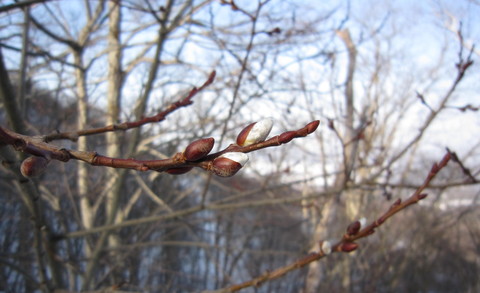 e0230329_20415364.jpg