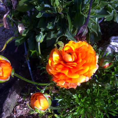 c0036138_0403430.jpg
