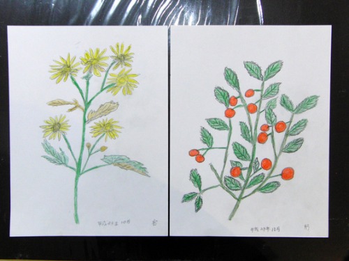 色鉛筆画 ~ O様 植物展 ~_e0222340_15151637.jpg