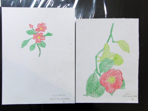 色鉛筆画 ~ O様 植物展 ~_e0222340_15223611.jpg