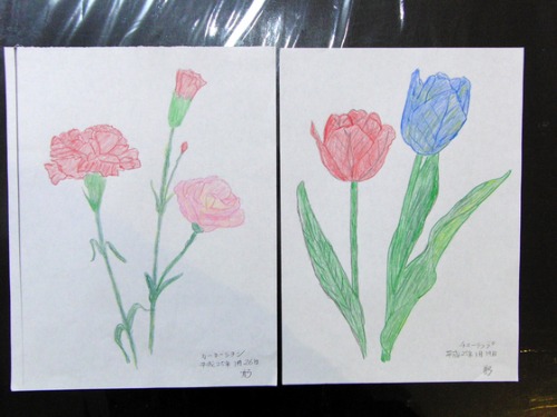 色鉛筆画 ~ O様 植物展 ~_e0222340_15235710.jpg