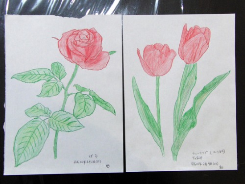 色鉛筆画 ~ O様 植物展 ~_e0222340_1526679.jpg