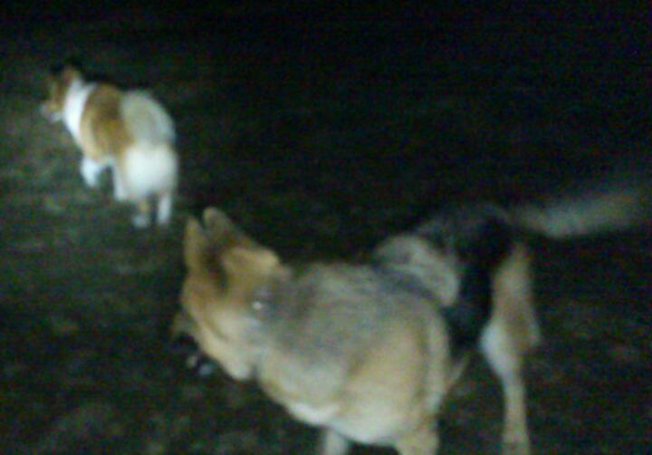 e0291042_22451622.jpg
