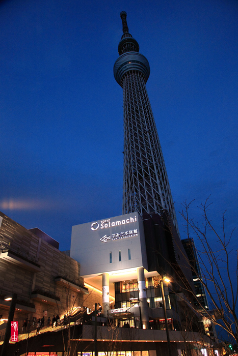 c0187744_20261383.jpg